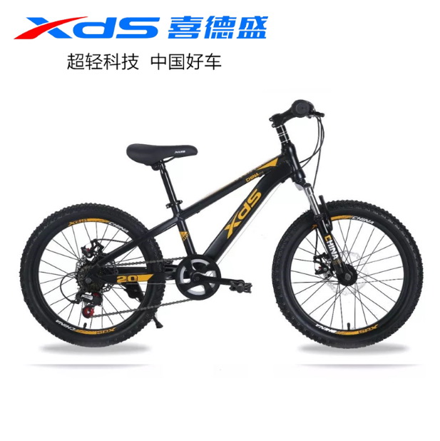 20寸中国风